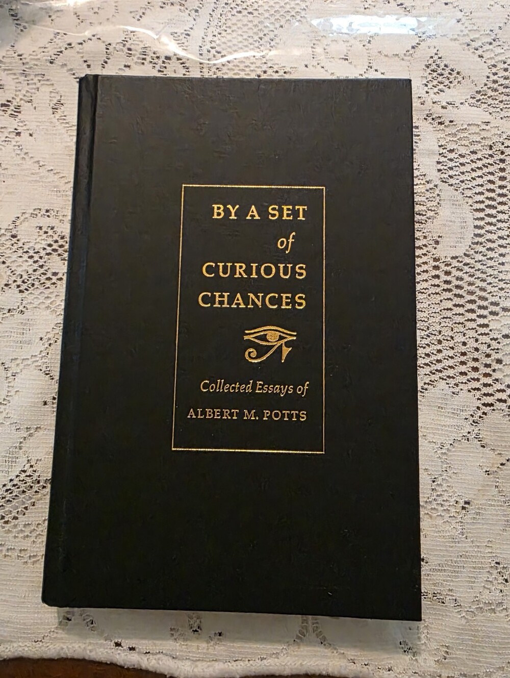By a Set of Curious Chances Hardcover Albert M. Potts Illustrated 2003